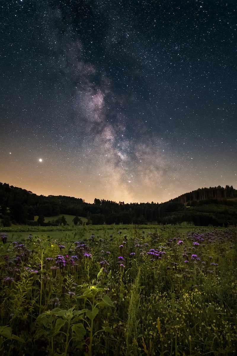 Galactic Antiques